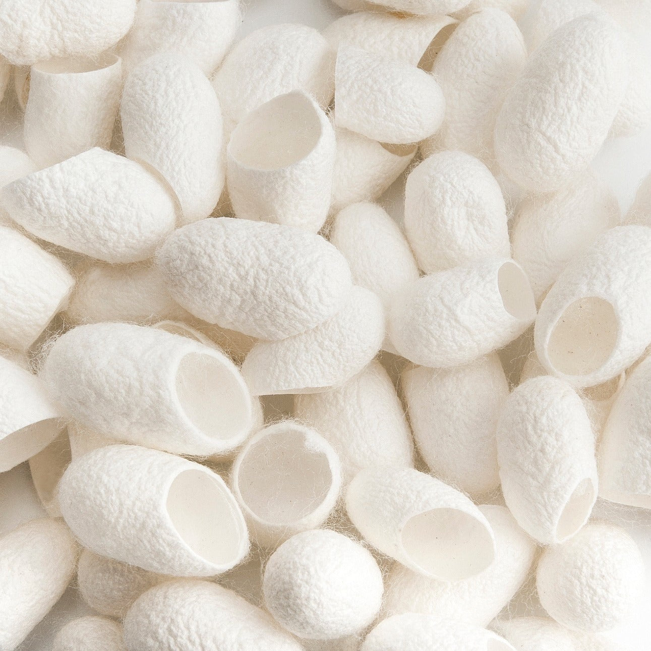 Silk Cocoons